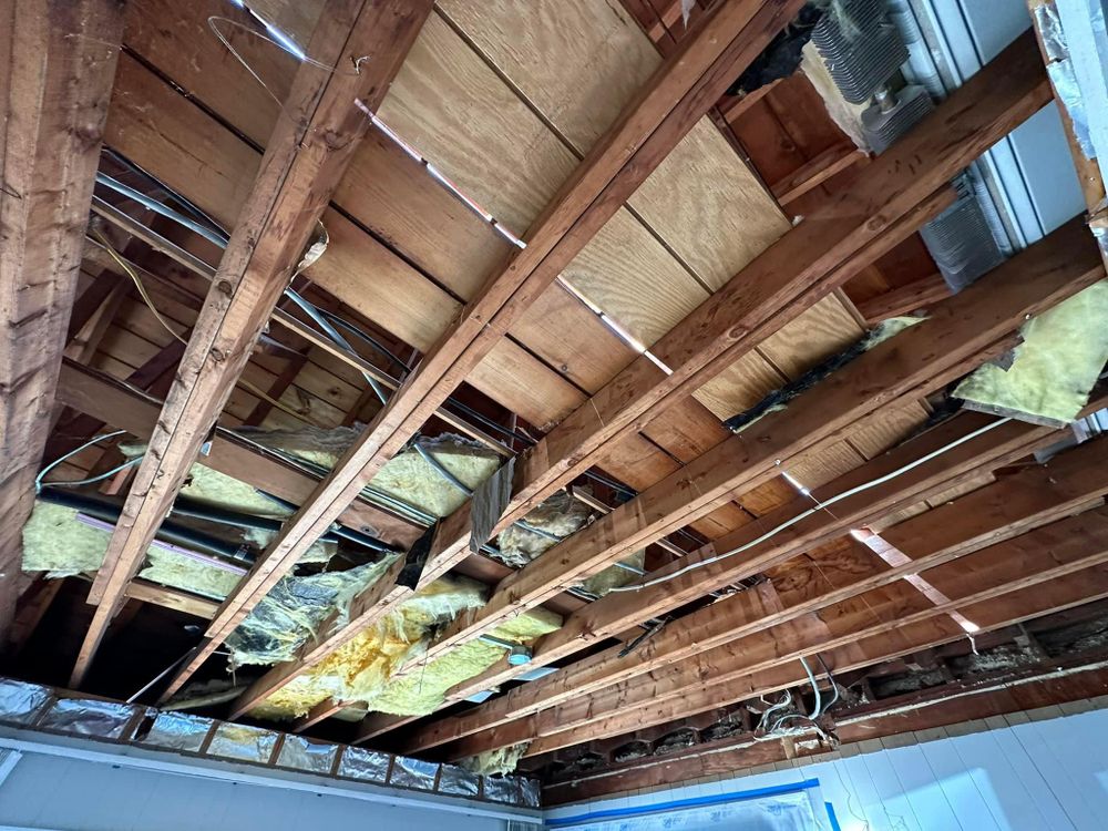 All Photos for Suter & Sons Painting in Amherst, Western Massachusetts