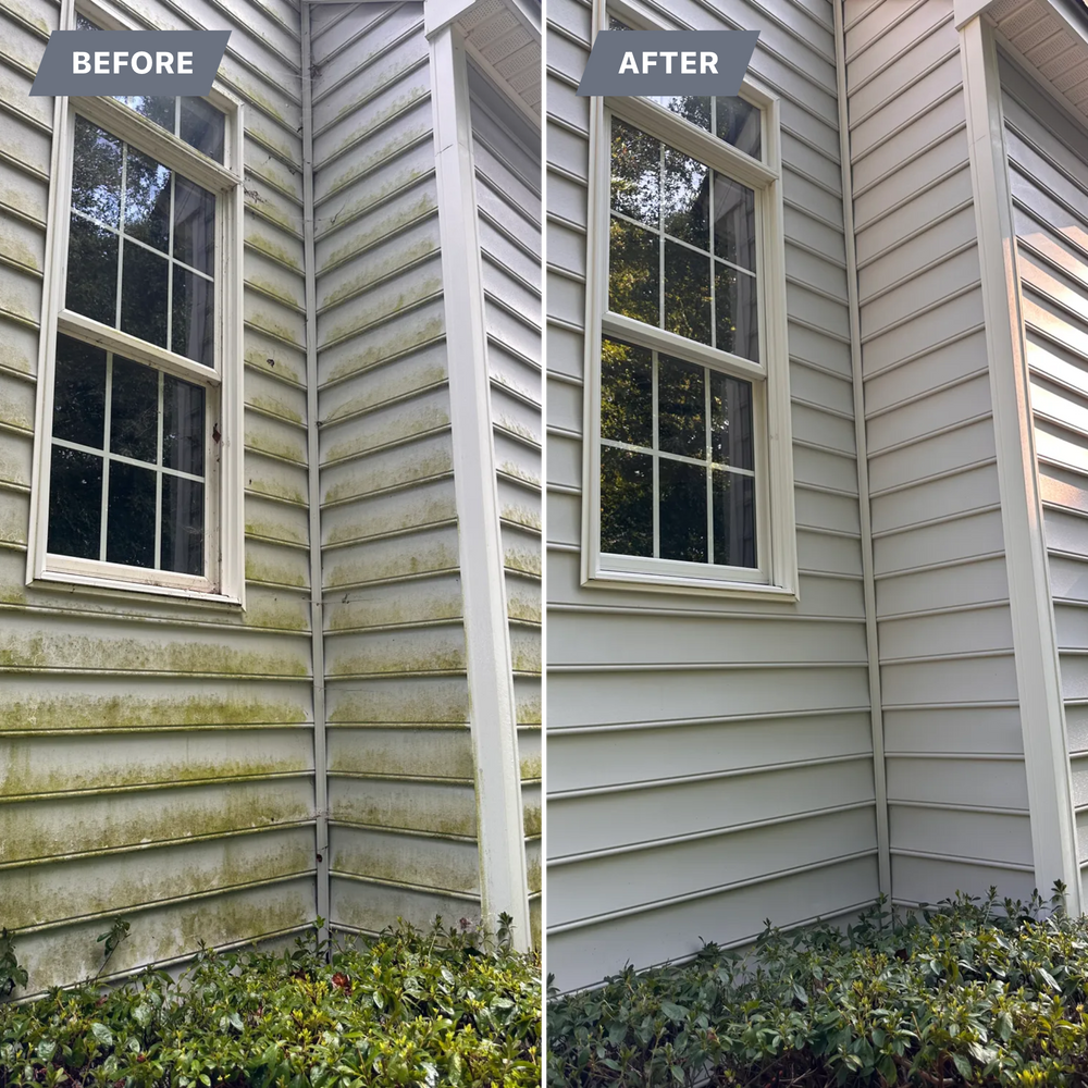 All Photos for LeafTide Solutions in Richmond, VA