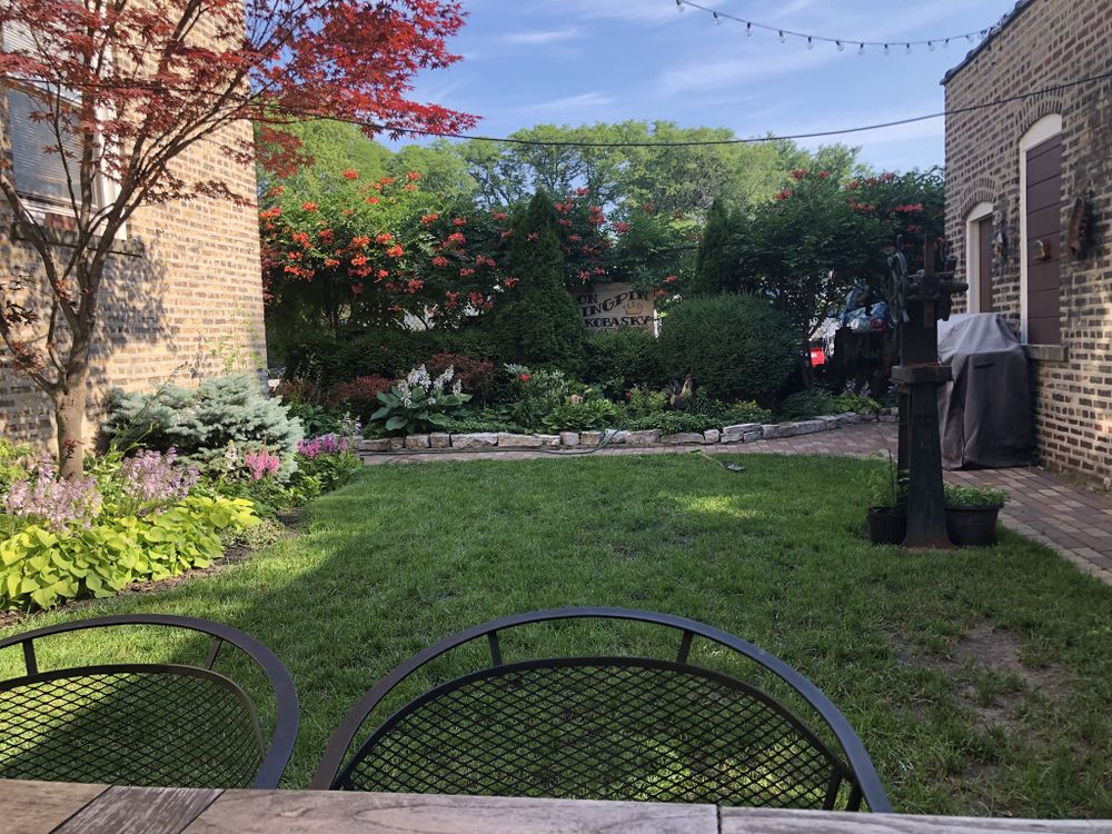 All Photos for CSI of Chicago in Springfield, IL