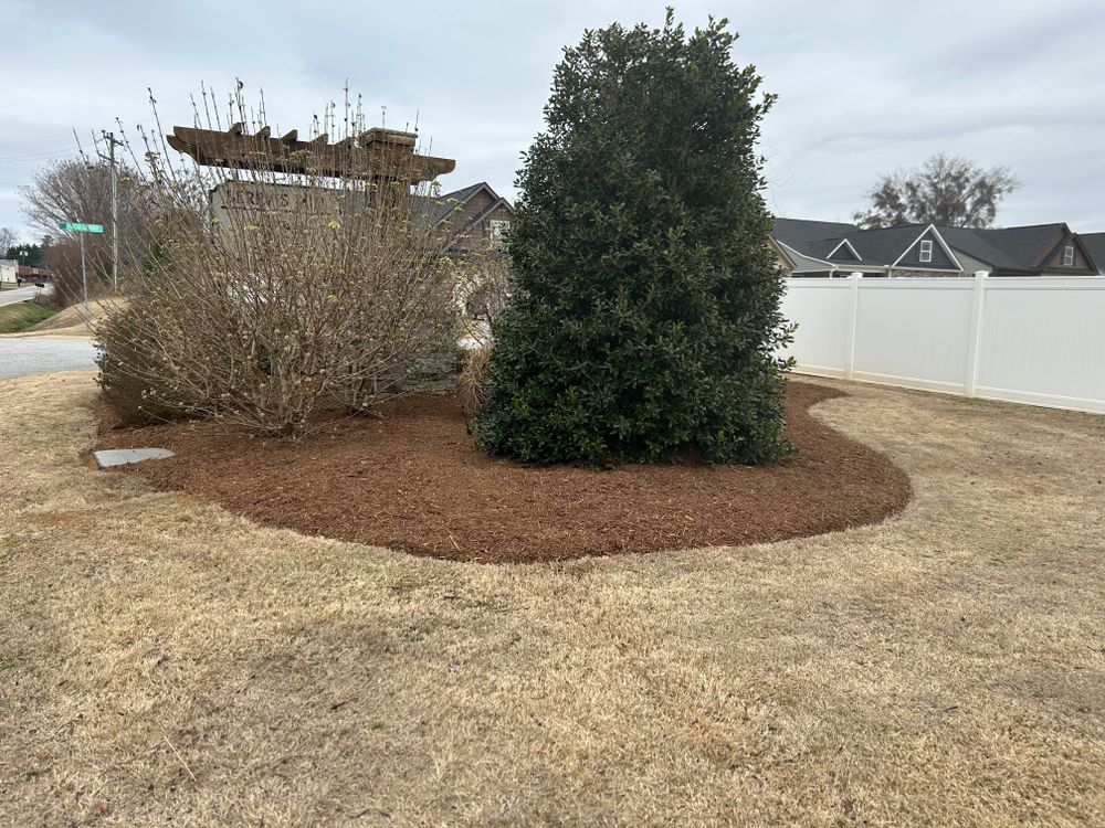 All Photos for Upstate Precision Landscaping in Moore, SC