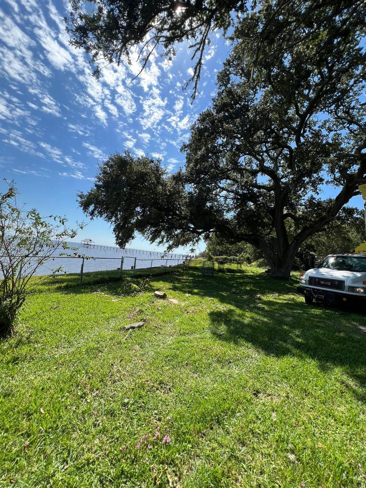 All Photos for Southern Venom Services in Daphne, AL