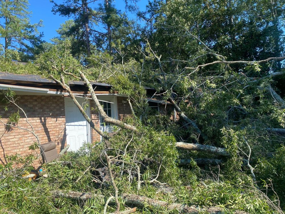 All Photos for Bulldawg Disaster Response in Atlanta, GA