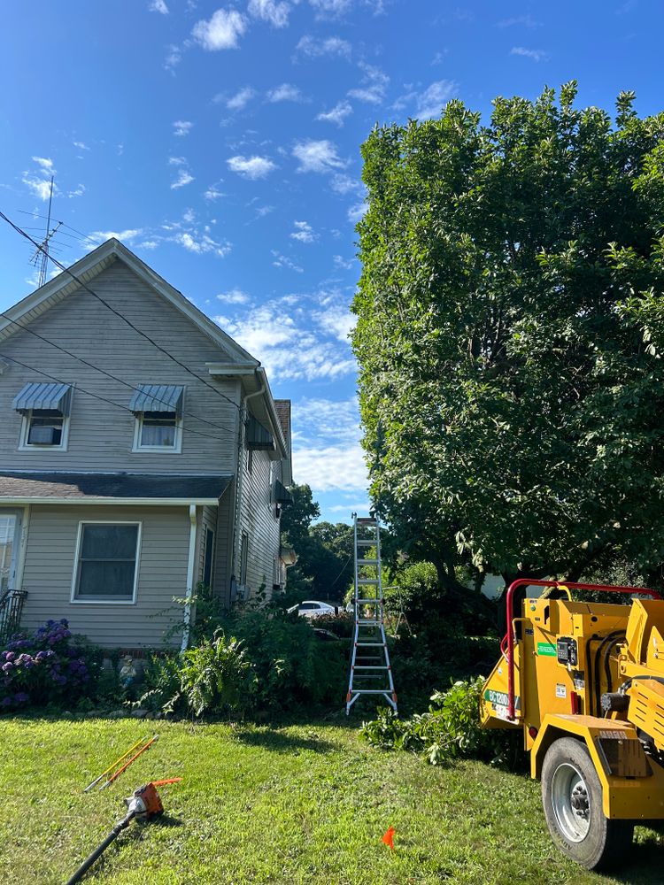 All Photos for Hingewood Tree Service in Salem, NJ