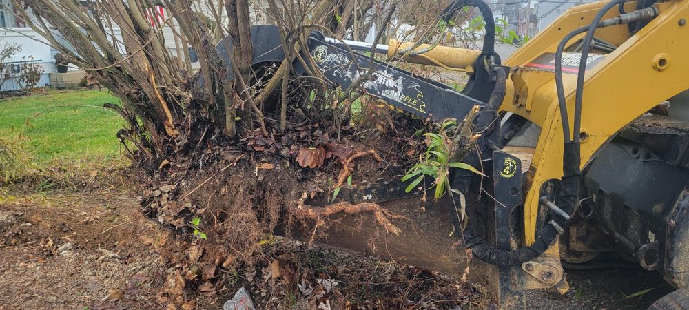 All Photos for Admiring Landscapes in Lancaster, OH