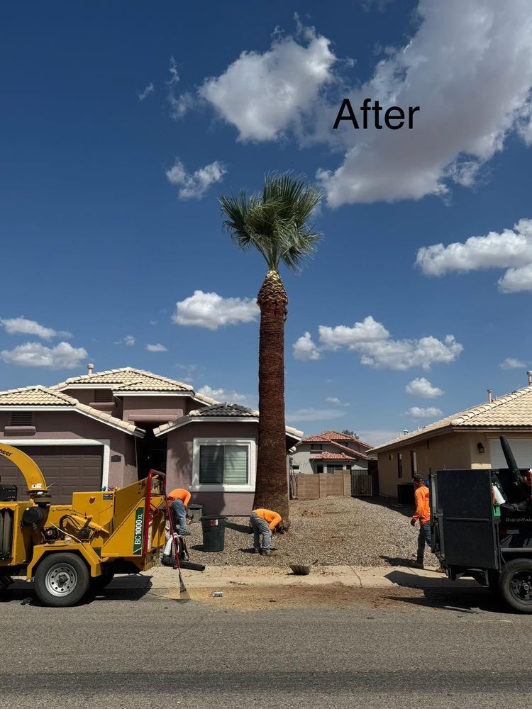 Stump Removal for By Faith Landscaping in Sierra Vista, AZ