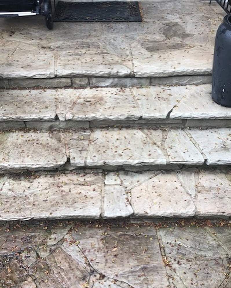 All Photos for Old Stone Masonry & Waterproofing in Rhode Island, MA