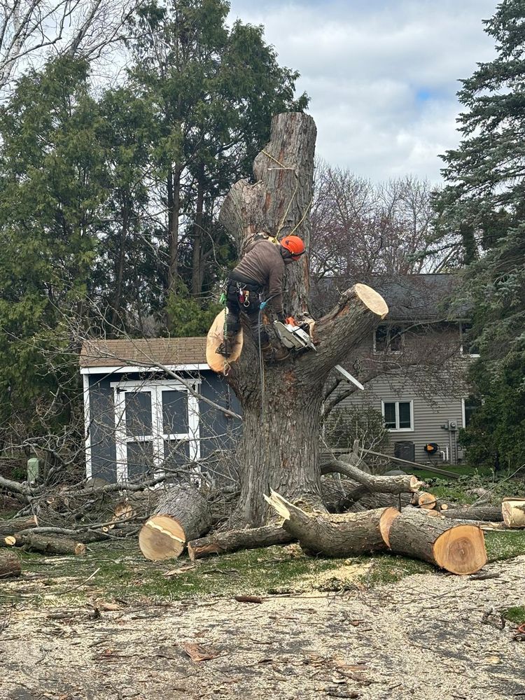 All Photos for Oakwood Tree Removal LLC in Oak Creek,  WI