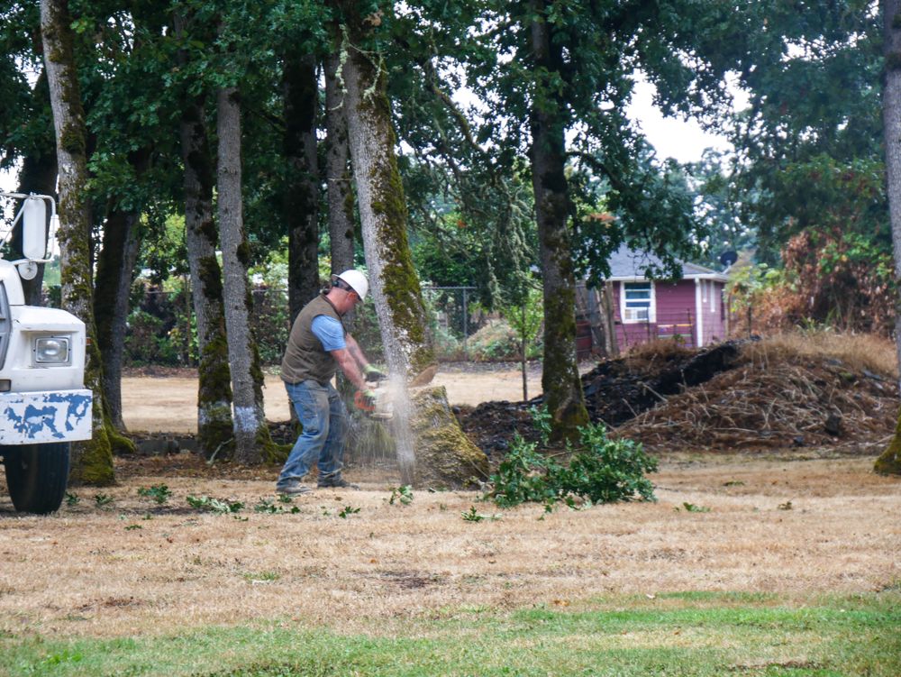 All Photos for Clippys Tree Pros in Stayton, OR