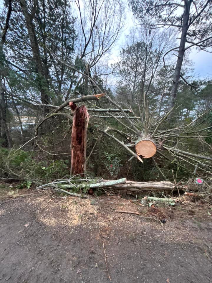 In times of tree emergencies such as storm damage or fallen trees, we offer fast and efficient emergency tree services to help homeowners restore their property safely and quickly. for Chipper's Tree Service  in Fort Payne, AL