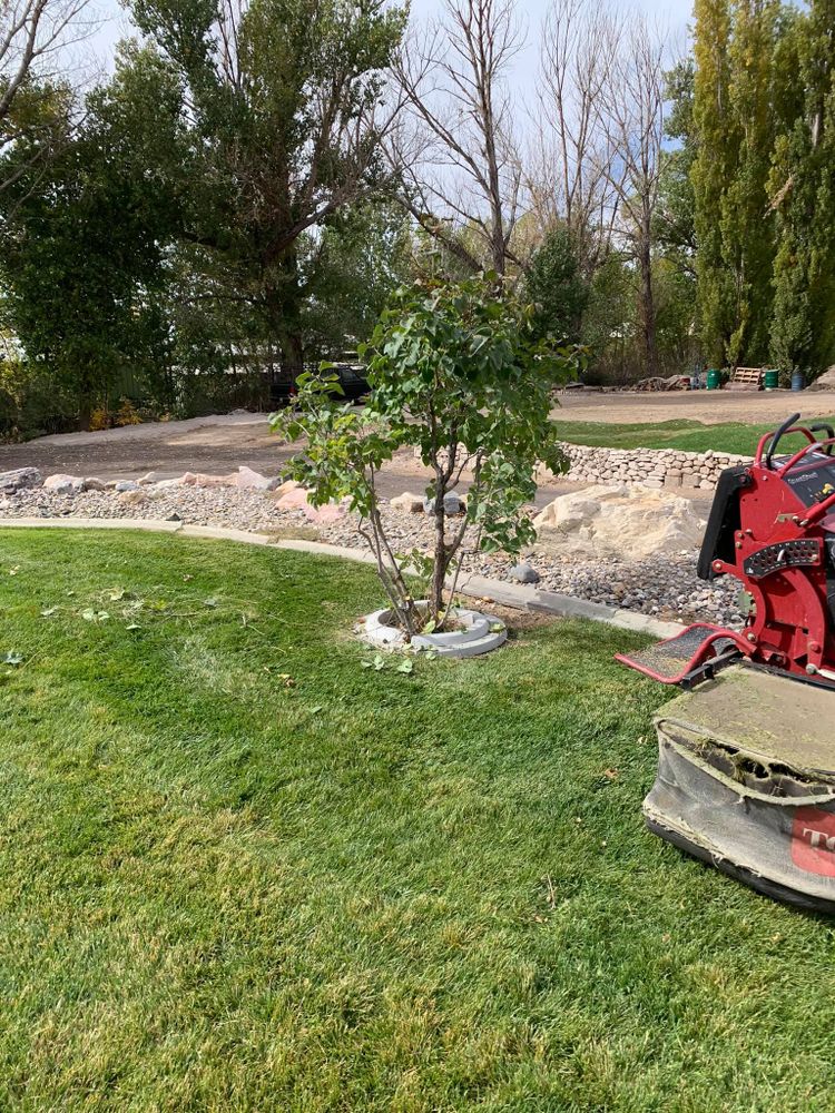 Discover the exceptional additional services we offer at our Lawn Care company, designed to transform your outdoor space into a lush, healthy haven. Enhance your lawn’s beauty with our expert solutions today! for Platinum Lawn Service in Santaquin, UT