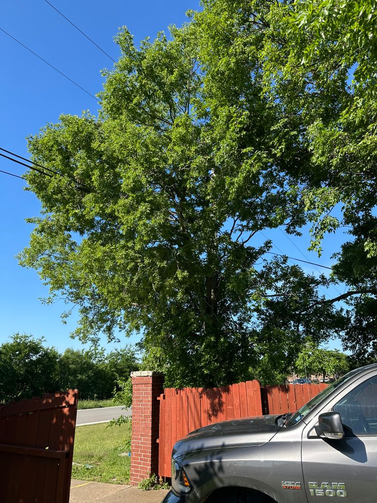 All Photos for Watson Lawn Care in Hillsboro, TX