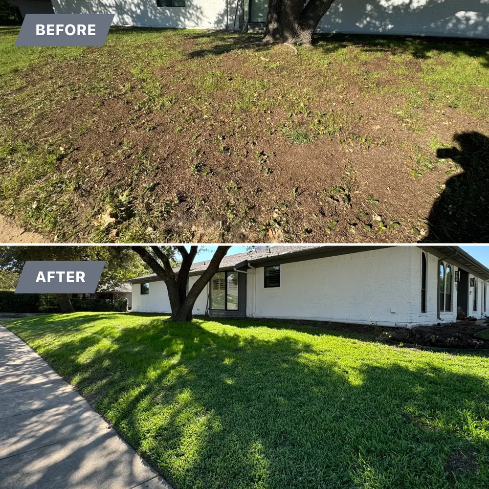 All Photos for North Texas Groundscaping in Frisco, TX