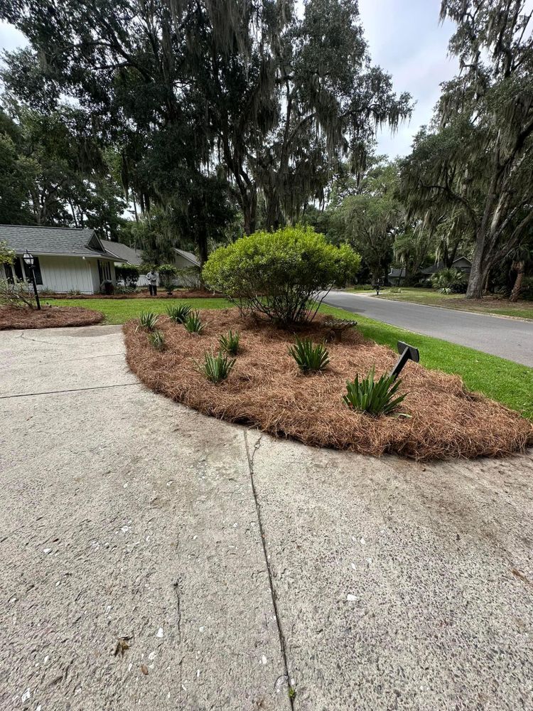 All Photos for Coastalscapes Landscaping & Turf Management  in Savannah, GA