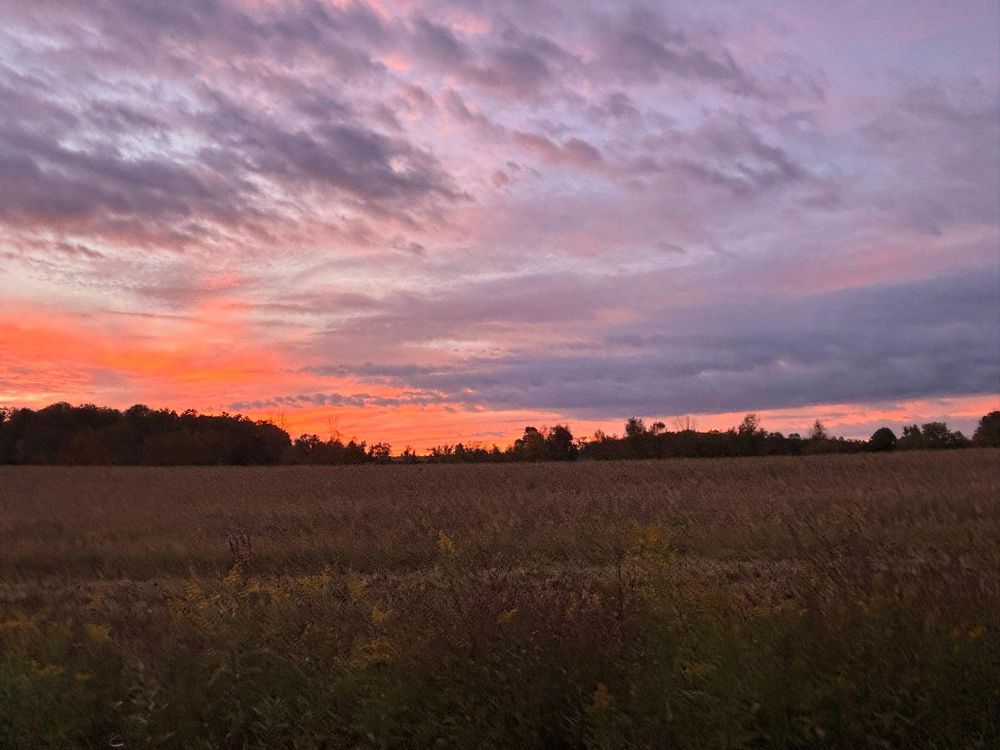 All Photos for T's Trees in Albany, NY
