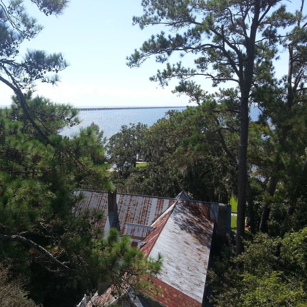 Tree Removal for David's Tree Service in Slidell, LA