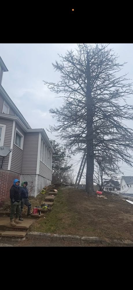 All Photos for The Construction & Demolition Man in Gardner, MA