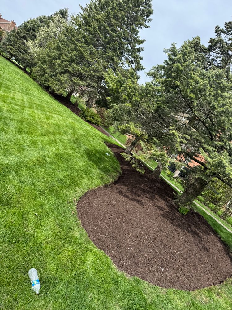 All Photos for R&L Deluxe Landscaping in Hanover Park, IL