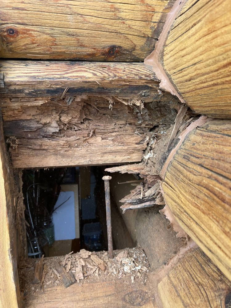 All Photos for Wild West Log home specialists in Corvallis, MT