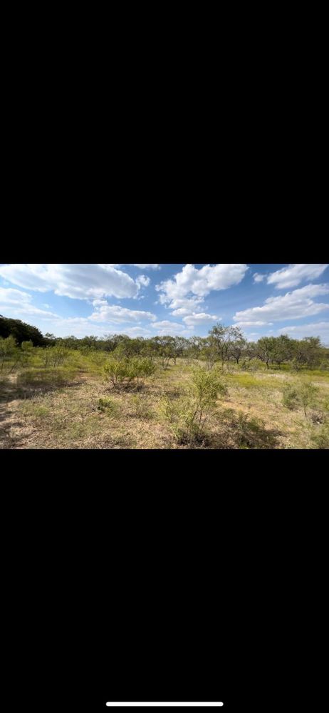 Land Clearing for D&D Custom Services in Jacksboro,  TX