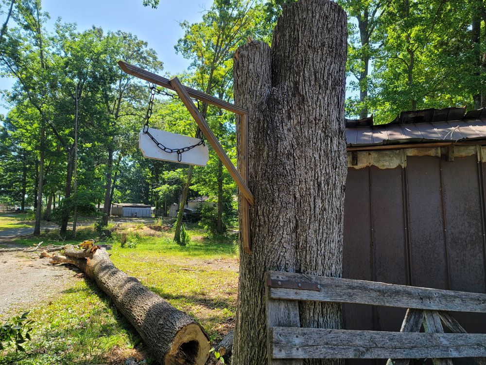 Tree Removal for Preserve A Tree LLC in  Mount Pleasant, North Carolina