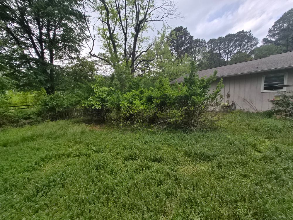 All Photos for 4 Points Lawncare LLC in Hayes, VA
