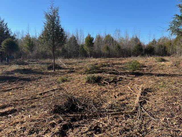 All Photos for Carolina Construction Services in Woodleaf, NC