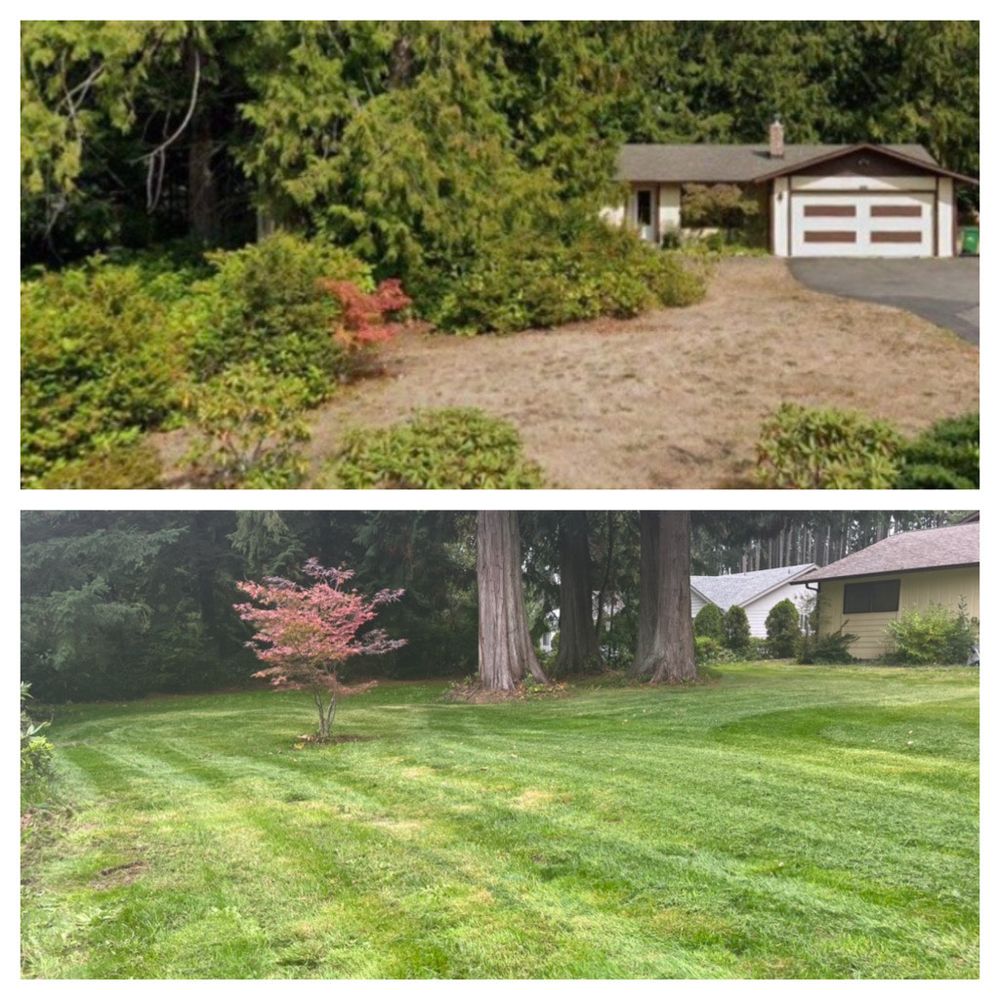 All Photos for Hall of Fame Landscaping in Bremerton, WA