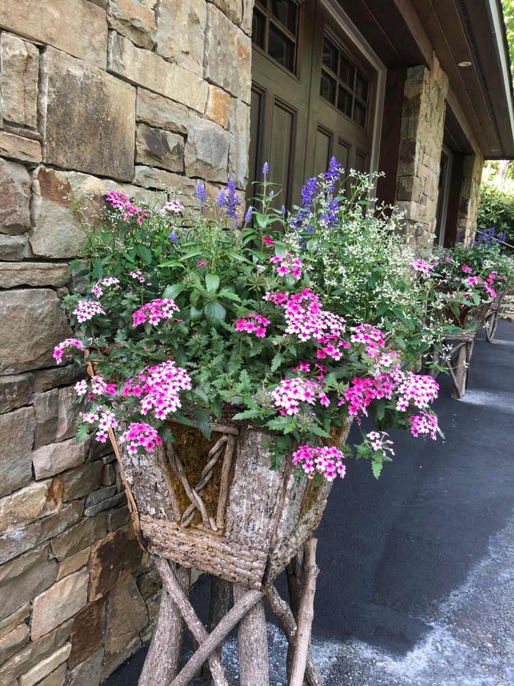 Container Gardening for Sustainable Lawn and Landscape in Banner Elk, NC