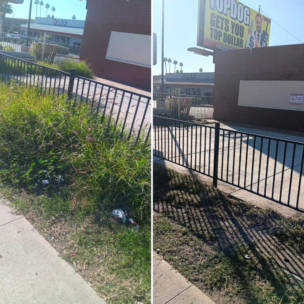 All Photos for Family Landscaping in Phoenix, AZ