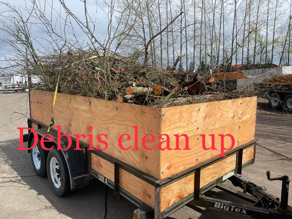 All Photos for Sol Junk Removal in Independence, OR
