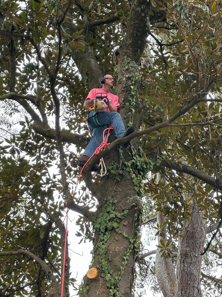 All Photos for Pink Pelican Tree Service & Landscaping in Columbia, SC