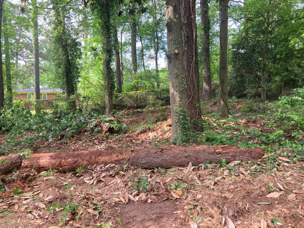 All Photos for Aries Lawnscapes in Atlanta, GA