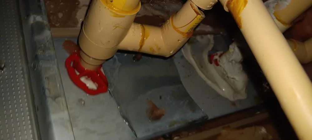 Water Damage Claims for Surplus Public Adjusters in Miami-Dade County, FL
