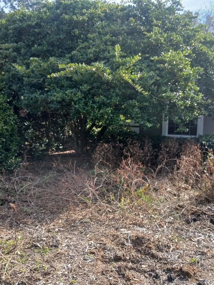 All Photos for Whole 9 Yards Services LLC in Green Cove Springs, FL