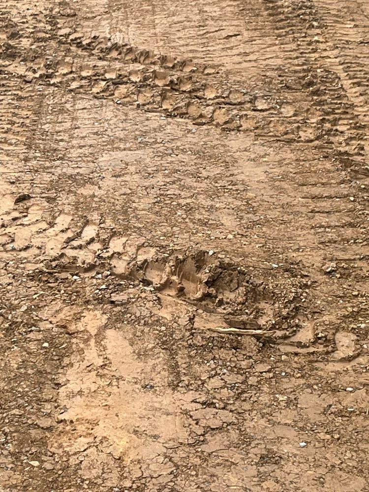 All Photos for J.P Landscaping and excavation in Chattanooga, TN