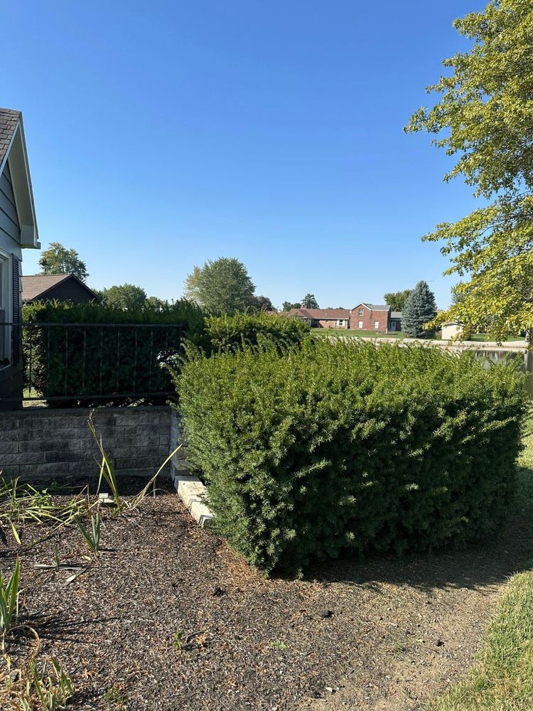 All Photos for OT Lawn and Landscaping LLC in Carey, OH