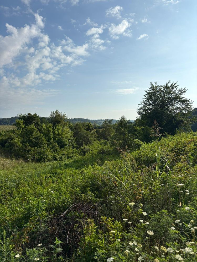 All Photos for Phillips Construction and Excavating in Seymour, TN