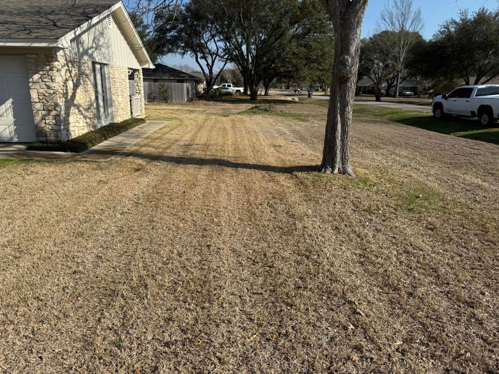Lawn Care for AAA Lawn Service in Moody, TX