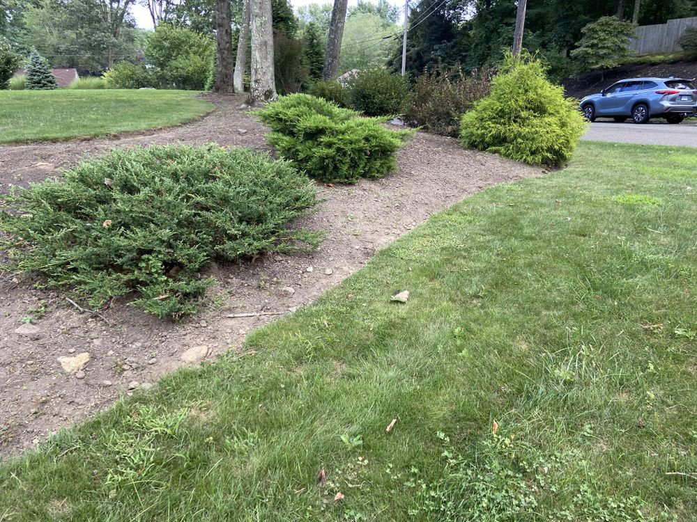 All Photos for Ace Landscaping in Trumbull, CT