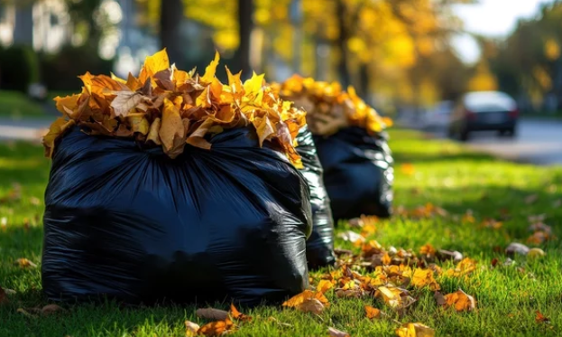 All Photos for Alaskan Residential Rescue in Anchorage, AK