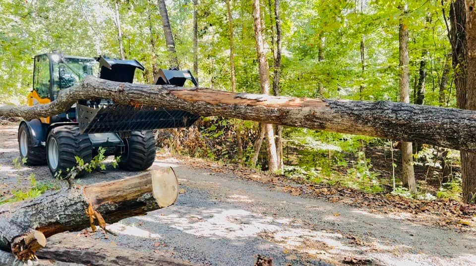 Tree Removal for Lamb Brothers Land Clearing in Murray, KY