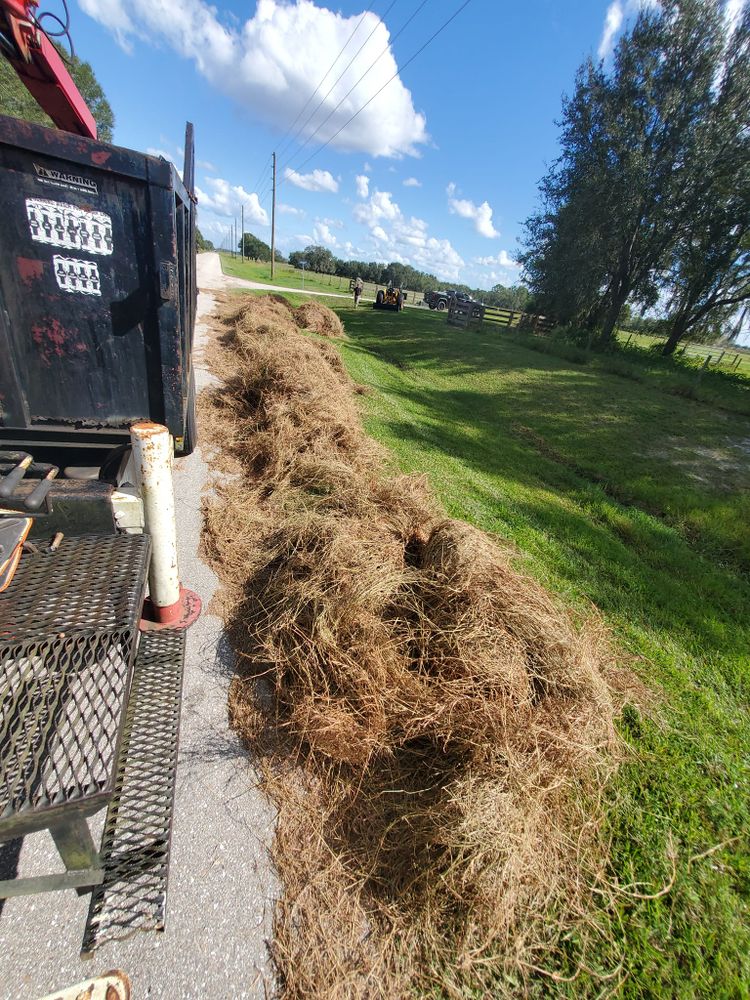 Other Services for Regal Tree Service and Stump Grinding in Wauchula, FL