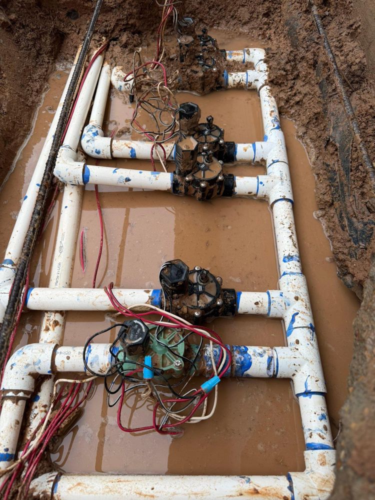 All Photos for Texas Curb N Borders in Houston, TX