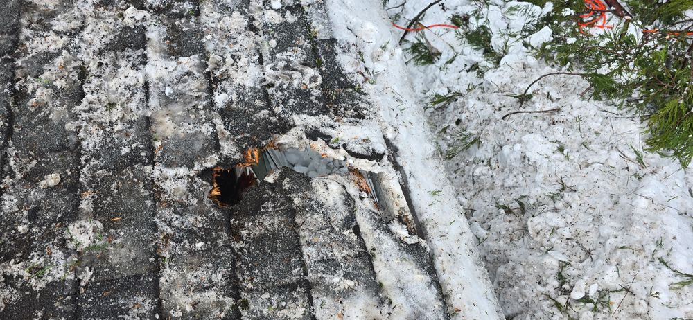 All Photos for George Staddan's Professional Tree Care in Placerville, CA