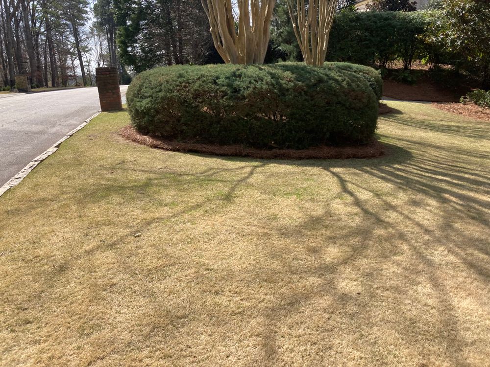 All Photos for Aries Lawnscapes in Atlanta, GA