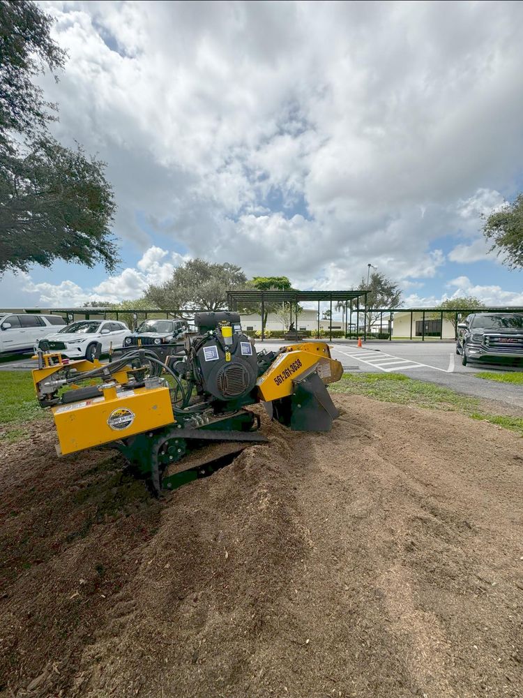 Tree Removal for Outdoor Solutions Of The Glades in Hendry County, FL