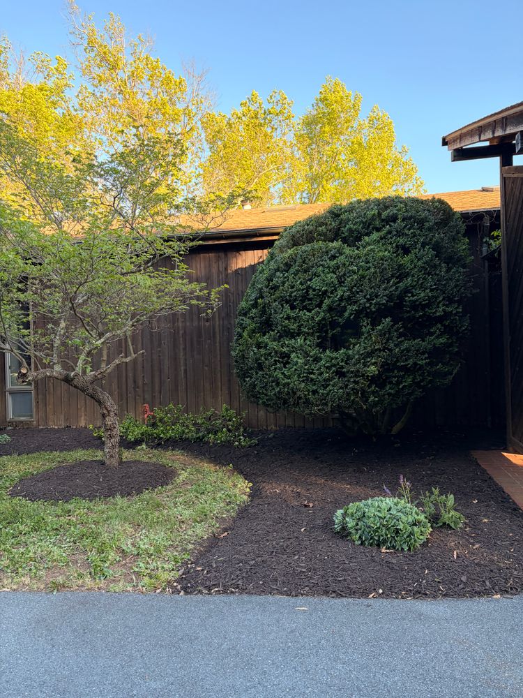 All Photos for Valencia’s Lawncare in Charlottesville, VA