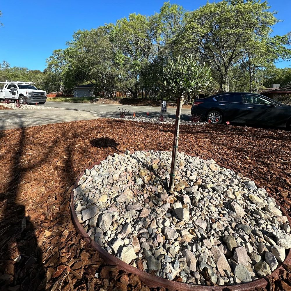 Landscaping for Diamond Landscape & Hardscape in Diamond Springs, CA