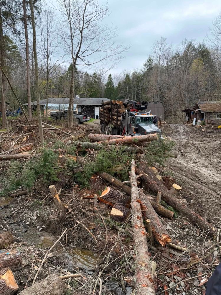 Our Tree Removal service safely removes hazardous, damaged, or unwanted trees from your property using professional equipment and expert care, protecting your home, landscape, and surrounding structures throughout the entire process. for Brax Forestry in Endicott, NY