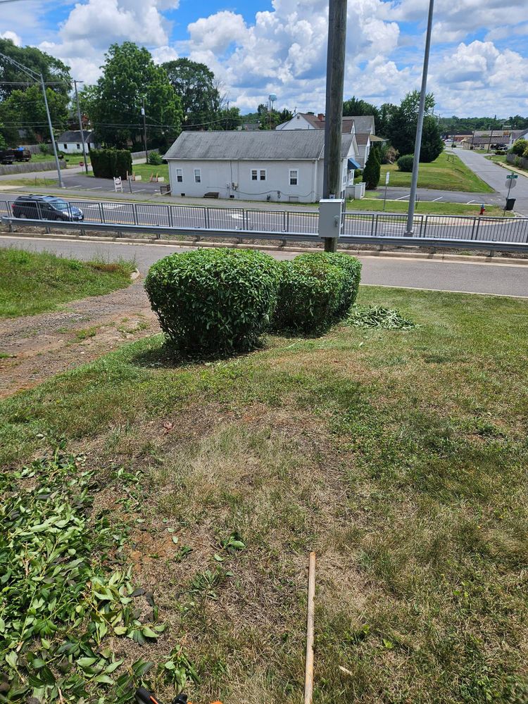 Lawn Care for Browns Grounds in Culpeper, VA